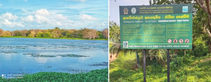 Anawilundawa Bird Sanctuary