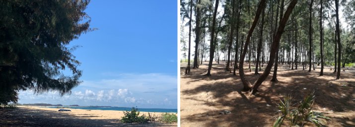 Balameen Madu Beach