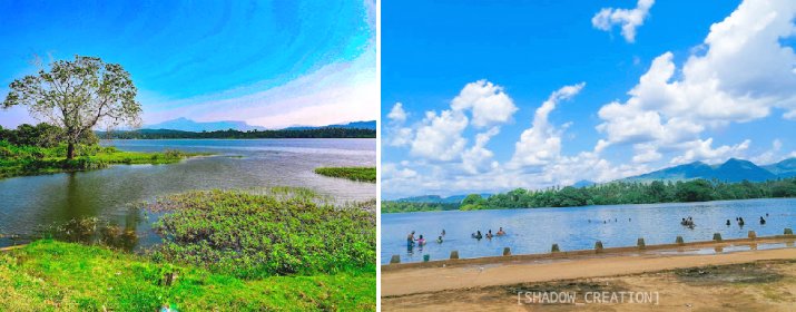 Bathalagoda lake