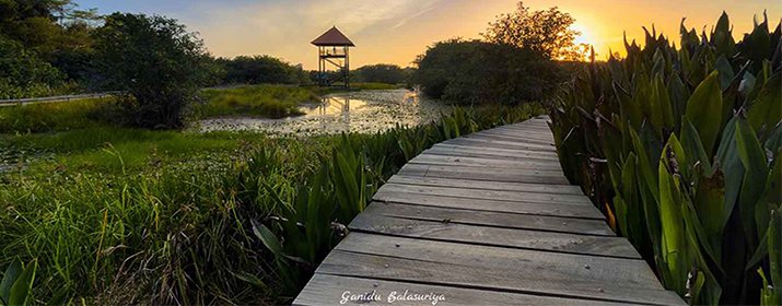 Beddagana Wetland Park
