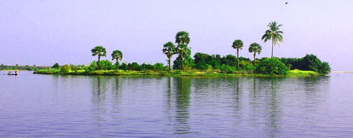 Bone Island