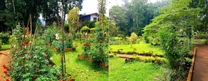 Botanical Garden - Badulla