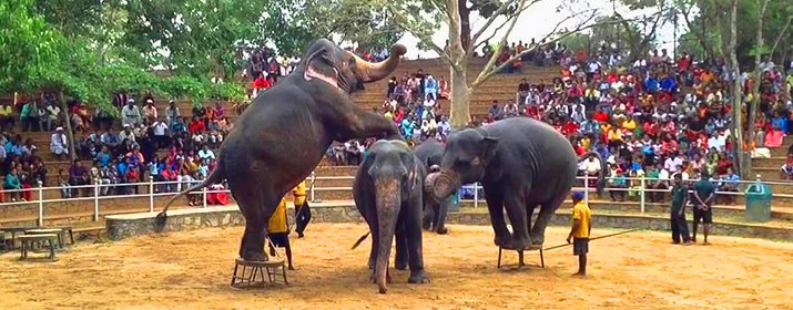 Dehiwala Zoological Garden