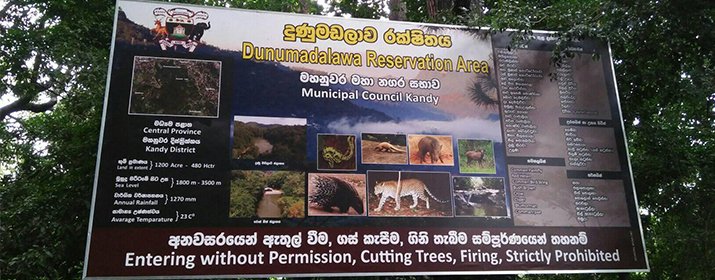 Dunumadalawa Forest Reserve
