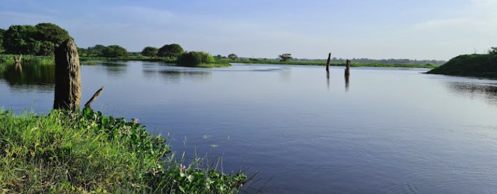 Ehetuwewa welioya