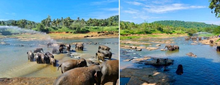 Elephants Bathing Place