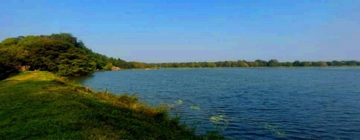 Eropothana Tank