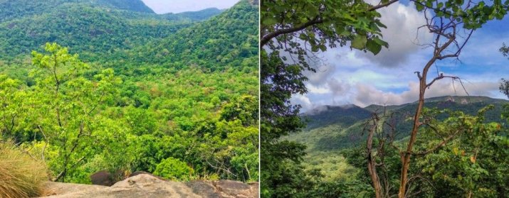 Galoya Forest View Place