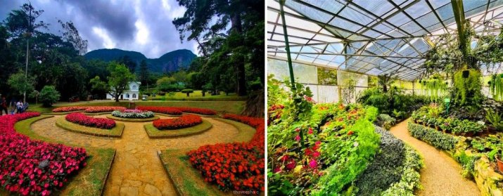 Hakgala Botanical Garden