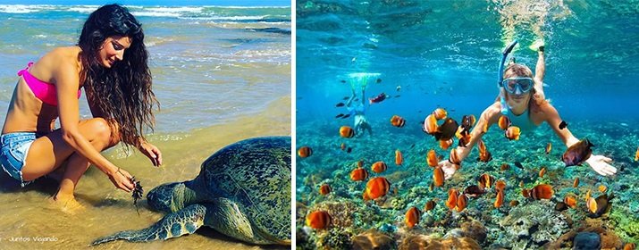 Hikkaduwa Coral Reef
