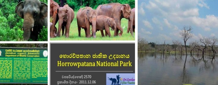 Horowpathana National Park