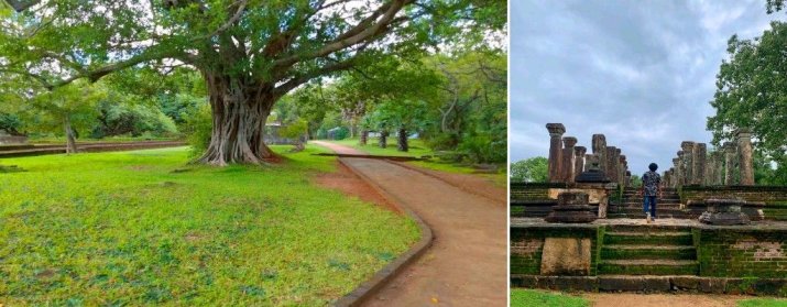 Island Park (Deepa Uyana)