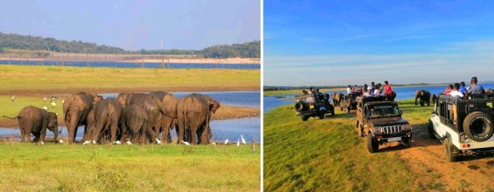 Kaudulla National Park