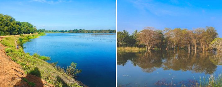 Kilinochchi Kulam