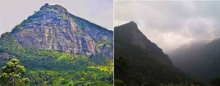 Kodigala