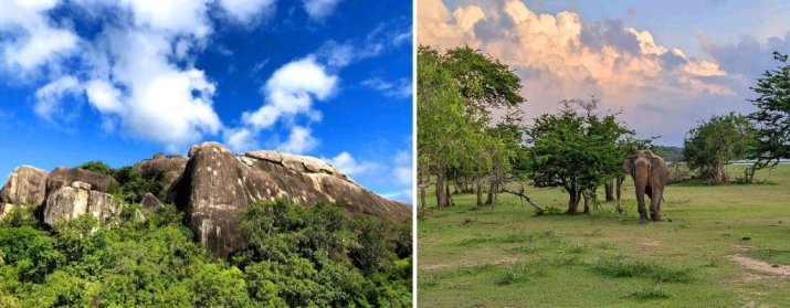 Kudumbigala Sanctuary