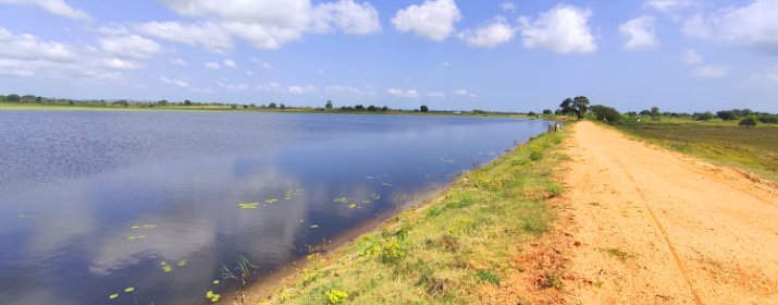 Kurangupaanchan Lake
