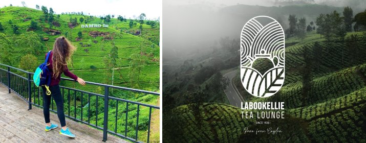 Labookellie Tea Lounge