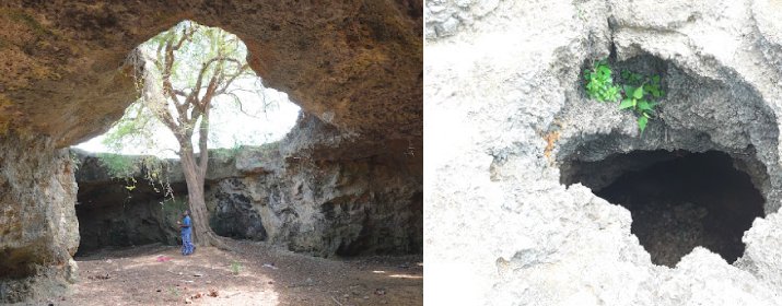 Limestone Caves
