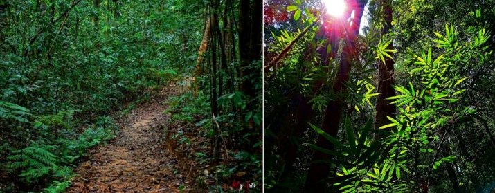 Makandawa Conservation Center (Makandawa Forest)