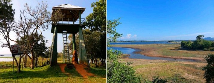 Minneriya Park Animal Watch Hut