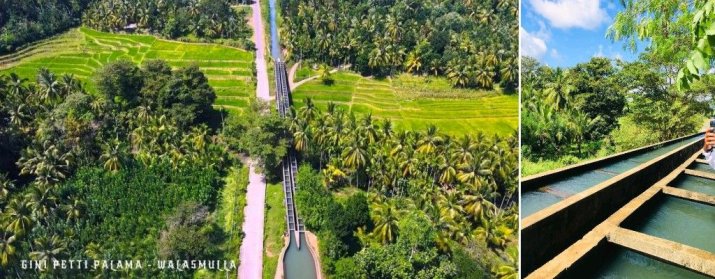 Muruthalawa ginipetti palama