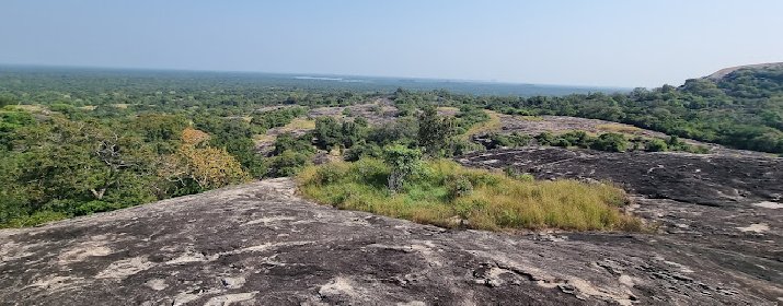 Nelugala Archaeological Site