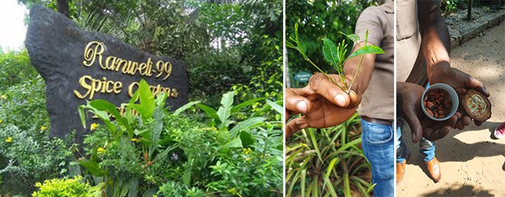 New Ranweli Spice Garden Kandy Sri Lanka