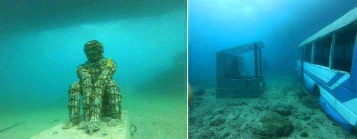 Nilwella Underwater Gallery