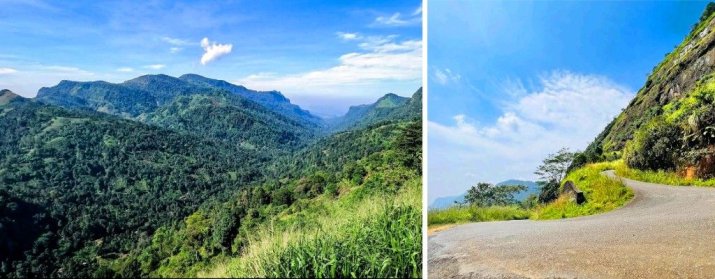 Palampitiya View Point