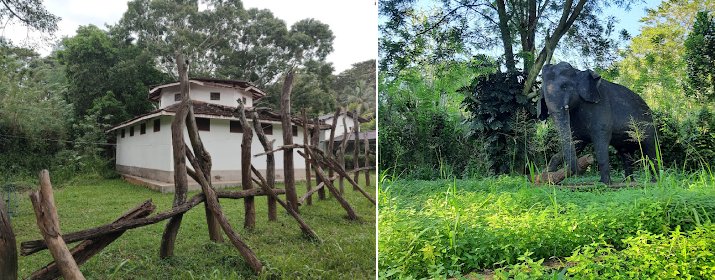 Panamure Elephant Kraal