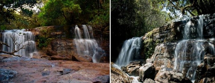 Paradise falls
