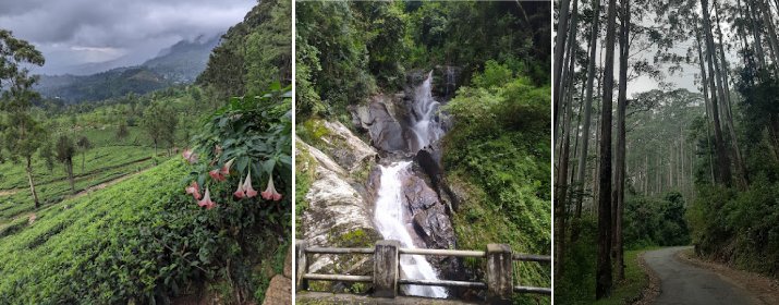 Pidaligannawela Water Fall