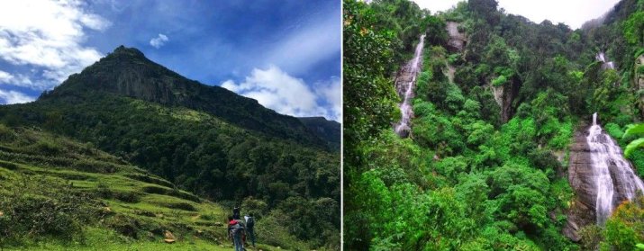 Piduruthalagala Conservation Forest