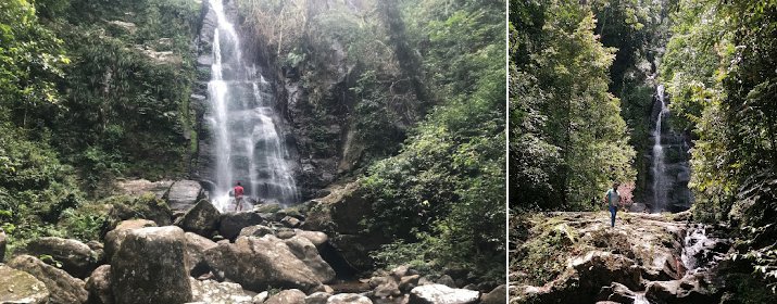 Ran Ella Fall