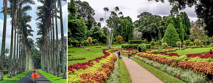 Royal Botanic Gardens