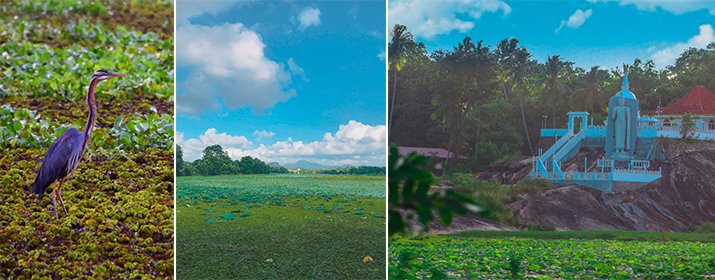 Saragama Lake