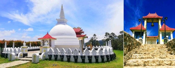 Single Tree Temple