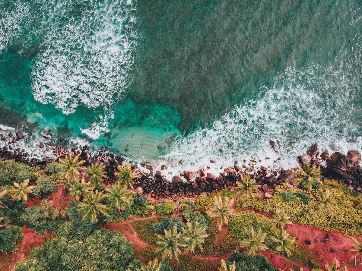 Mirissa on the south coast