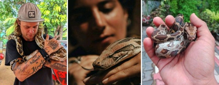 Sri Lanka Snake Farm