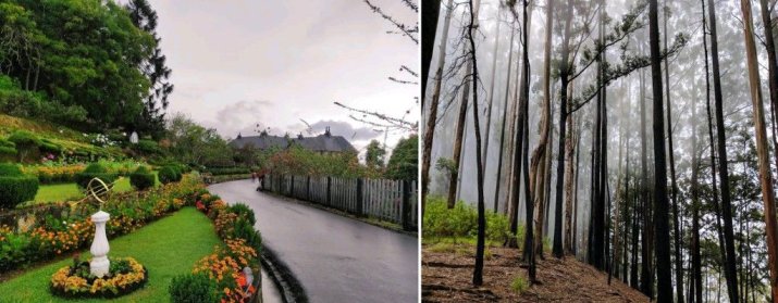 Thangamale Sanctuary