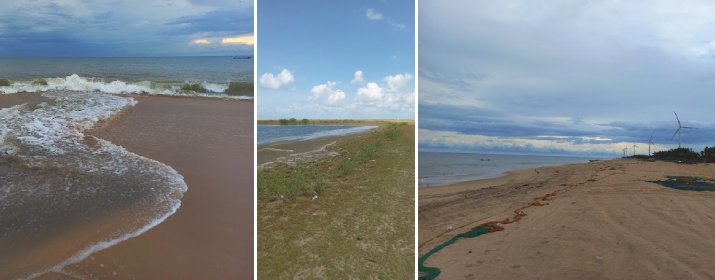 Thoduwawa fishing beach