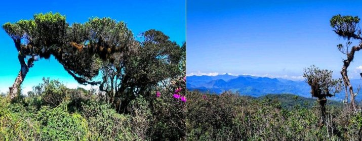Thotupola Mountain
