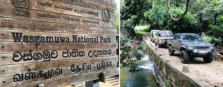 Wasgamuwa National Park
