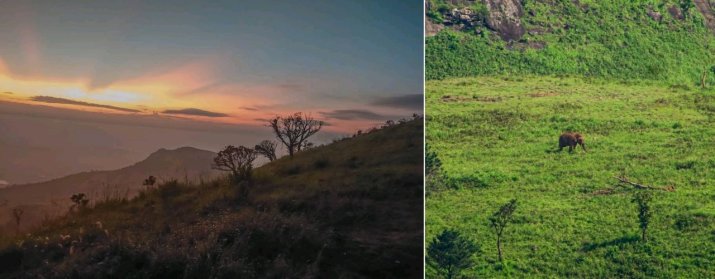 Welangolla Plains