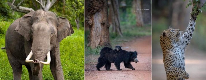 Wilpattu National Park
