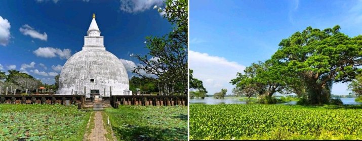 Wirawila Tissa Sanctuary