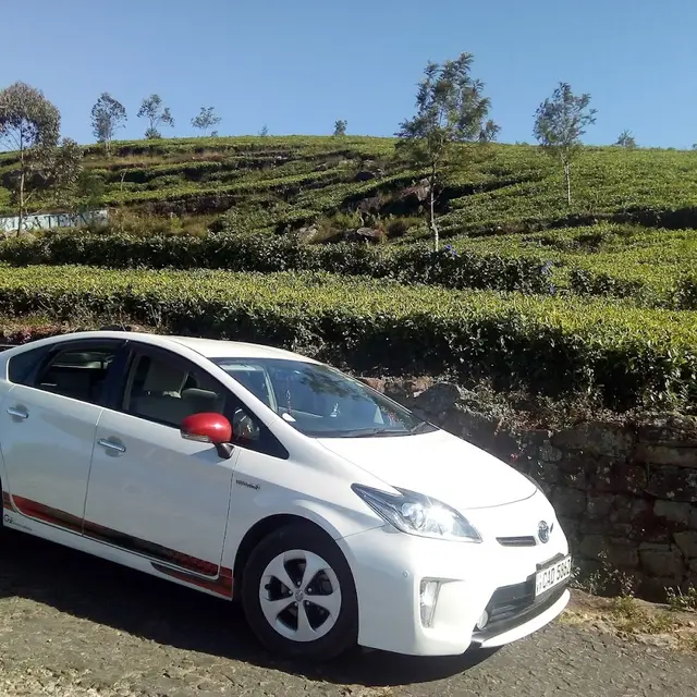 Dilana Cab Service & Tours