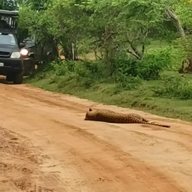 Dim Tours Srilanka - BENTOTA