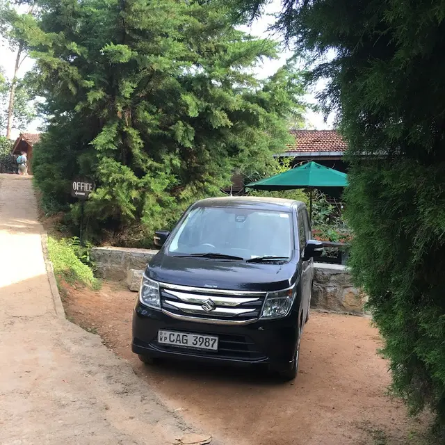 Ella Pick Up